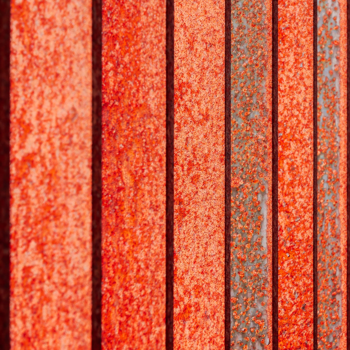 Coventry City Centre – Group Photography Workshop